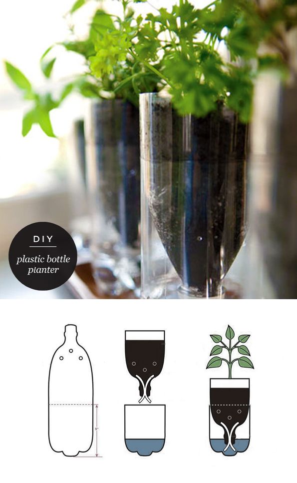 Plastic bottle herb planters